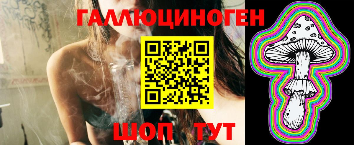 Псилоцибиновые грибы Psilocybe Краснодар