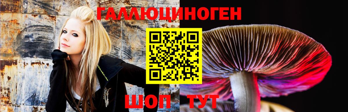 Псилоцибиновые грибы Magic Shrooms  Вход с VPN  Краснодар 